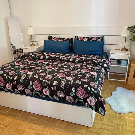 Apartment Your Comfortable In *